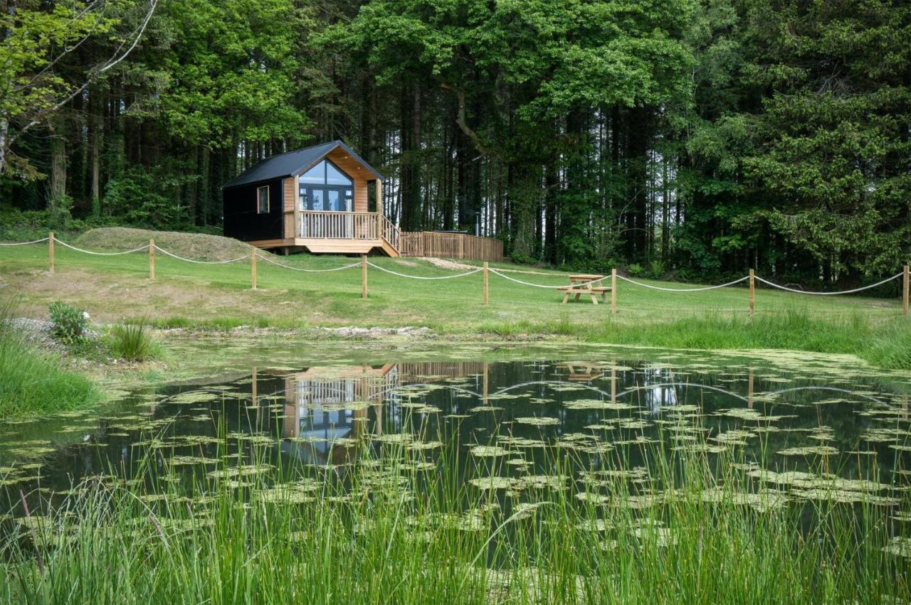 Cabin In The Woods - 1 Bedroom Lodge - Kilgetty Stepaside  Εξωτερικό φωτογραφία