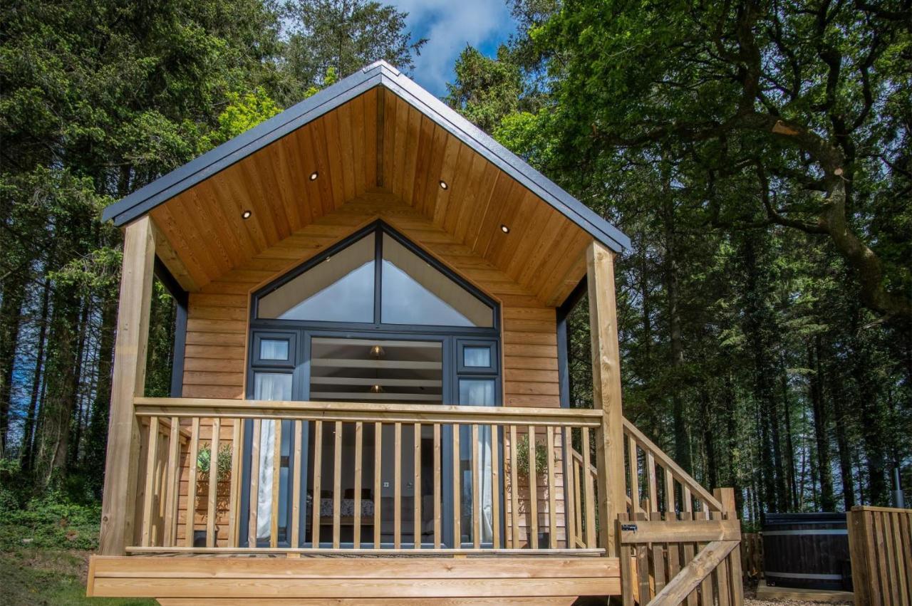 Cabin In The Woods - 1 Bedroom Lodge - Kilgetty Stepaside  Εξωτερικό φωτογραφία
