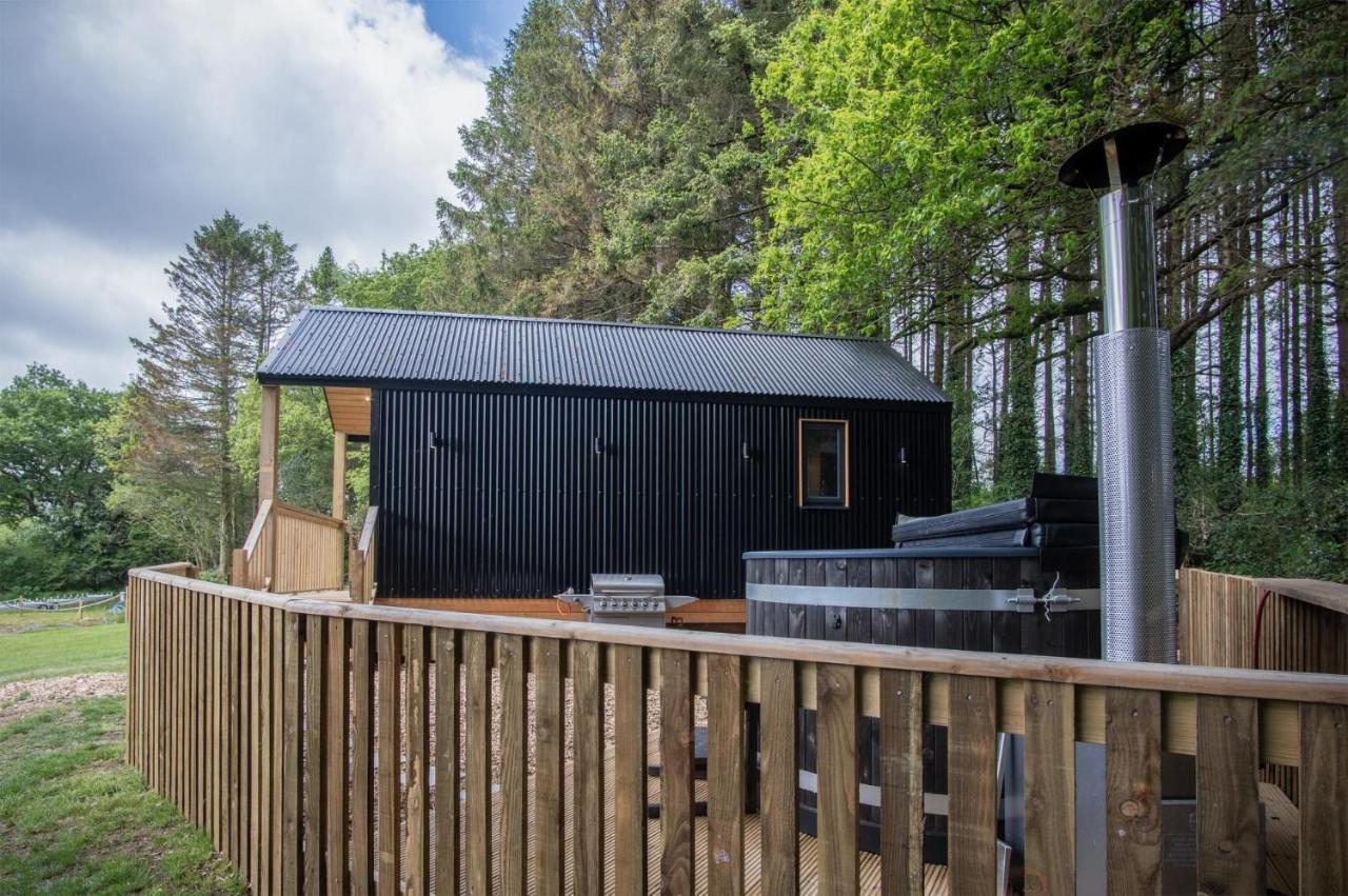 Cabin In The Woods - 1 Bedroom Lodge - Kilgetty Stepaside  Εξωτερικό φωτογραφία