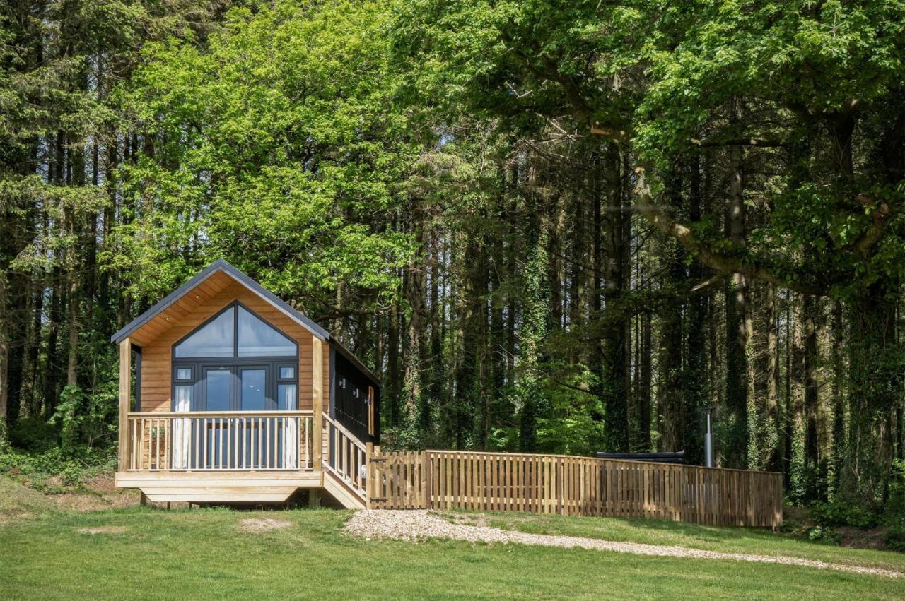 Cabin In The Woods - 1 Bedroom Lodge - Kilgetty Stepaside  Εξωτερικό φωτογραφία
