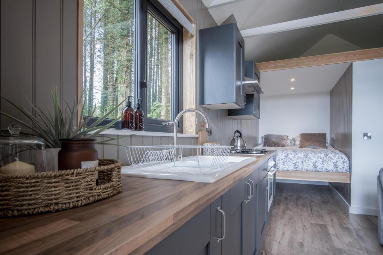 Cabin In The Woods - 1 Bedroom Lodge - Kilgetty Stepaside  Εξωτερικό φωτογραφία